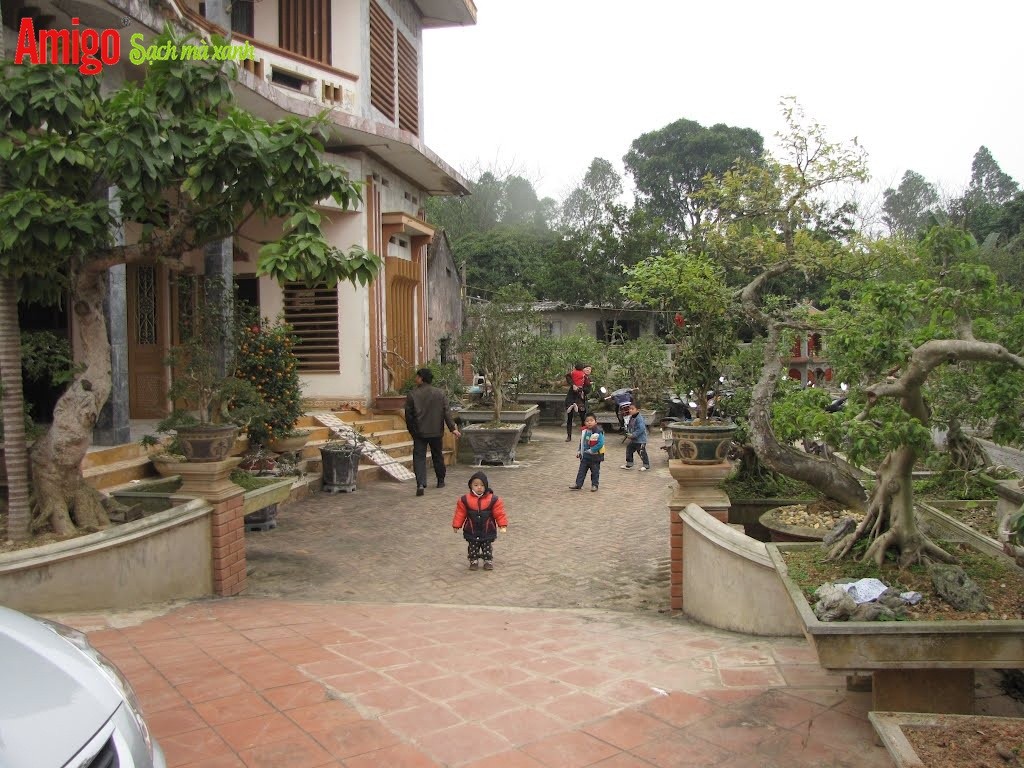 Tẩy rửa rong rêu